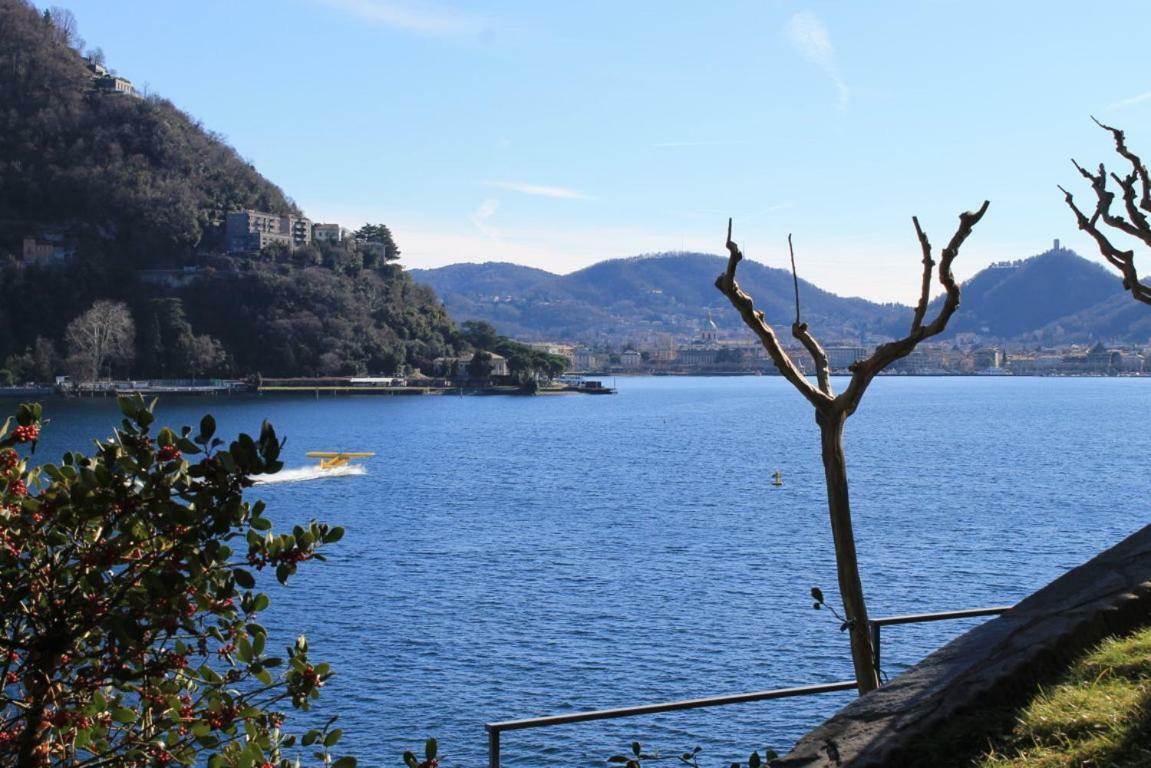 Lakeviewcabin Όπως Εξωτερικό φωτογραφία